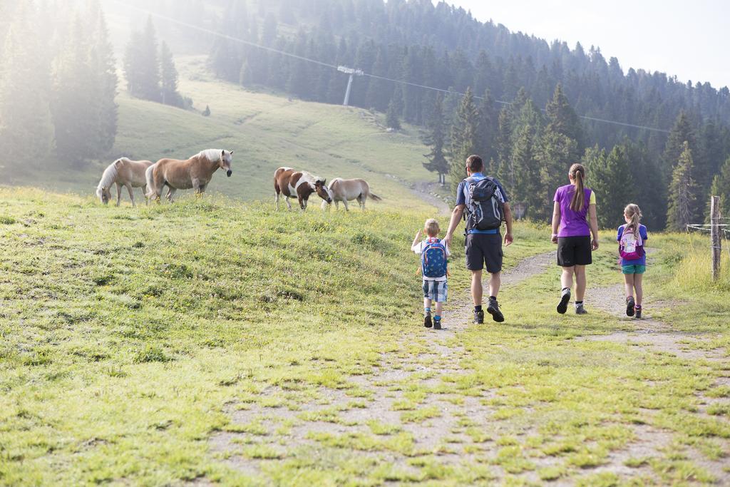 Appartmenthaus Martina Zell am Ziller Kültér fotó