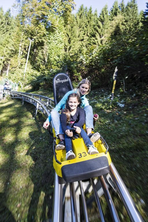 Appartmenthaus Martina Zell am Ziller Kültér fotó